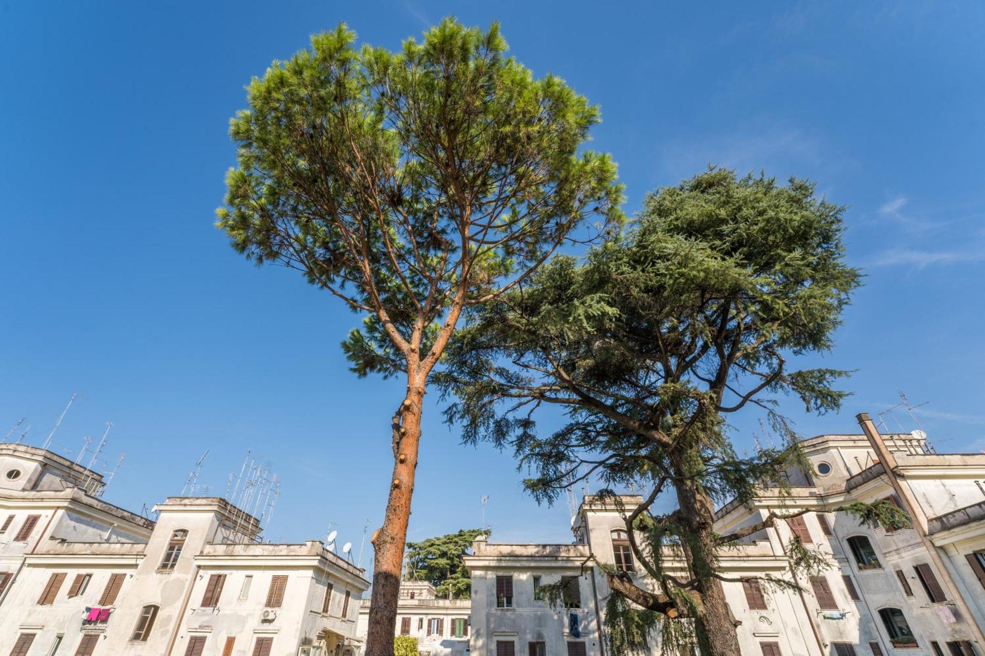 Fisher'S Apartment In Testaccio Roma Exterior foto